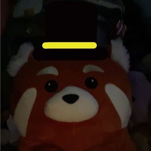 Meet your Posher, Cassie